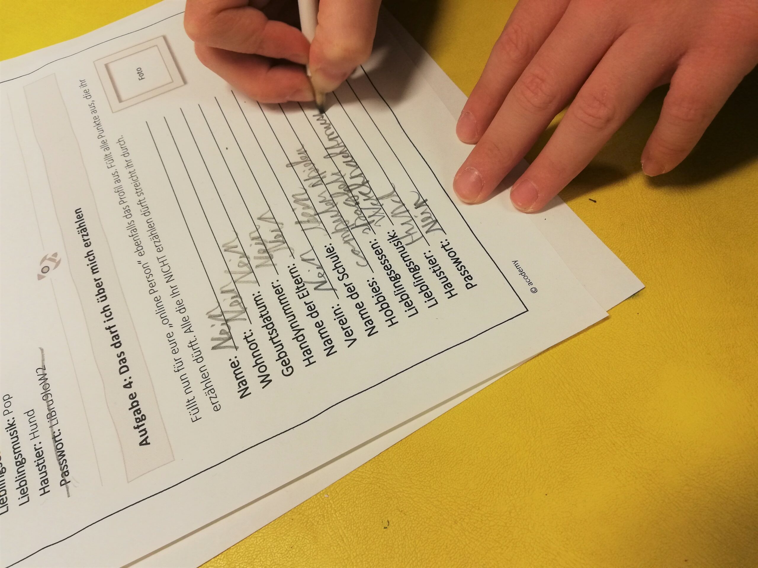 cody21 Aufgabenblatt